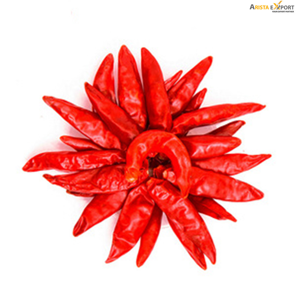 Best quality most selling dried red chili exporter Bangladesh