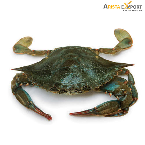 Best selling fresh high quality crab supplier BD
