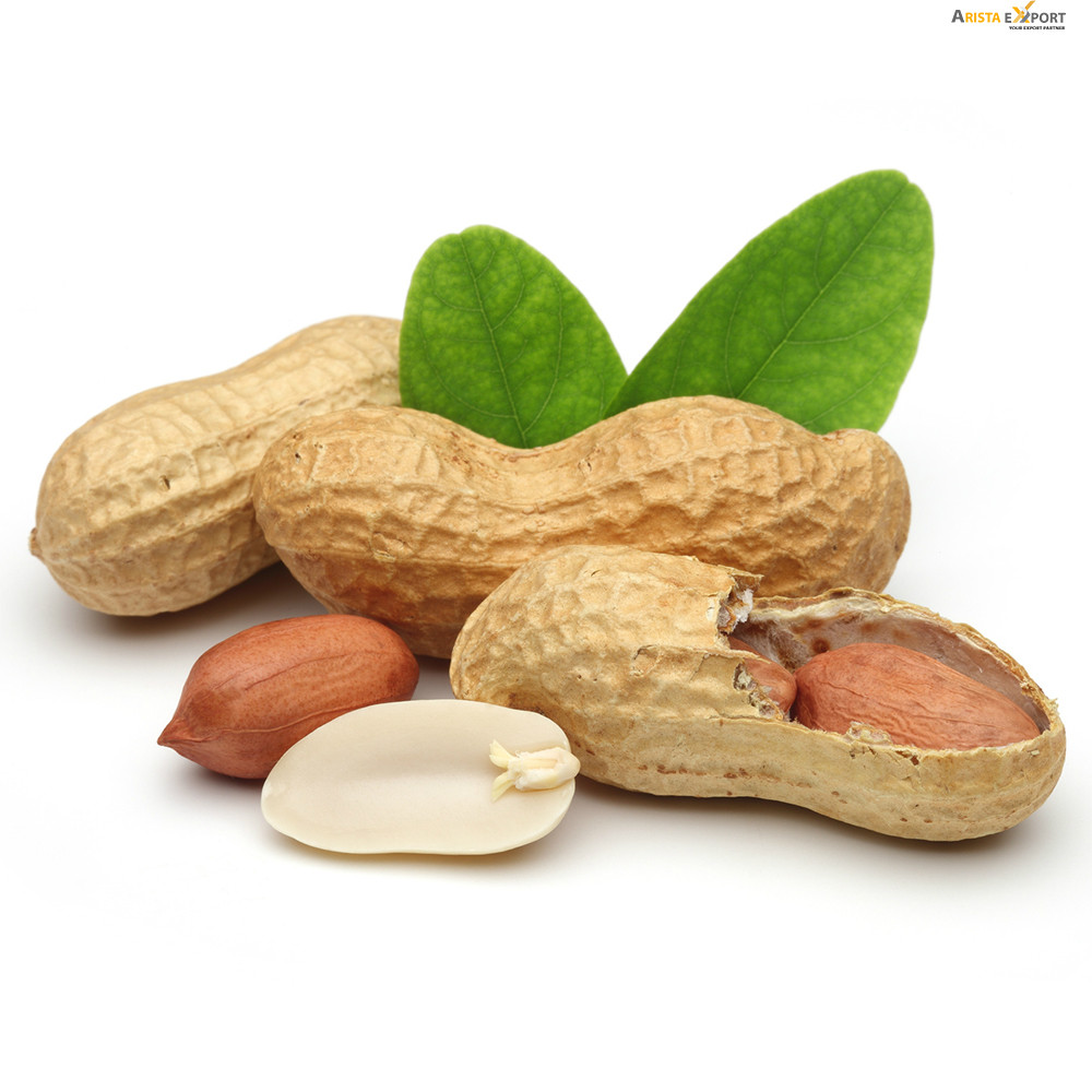 Peanut Cernel supplier from Bangladesh