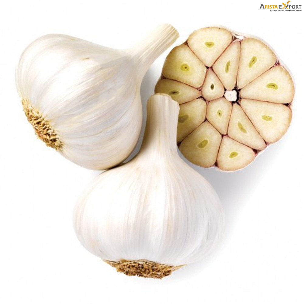 Export Quality Garlic Supplier Bangladesh