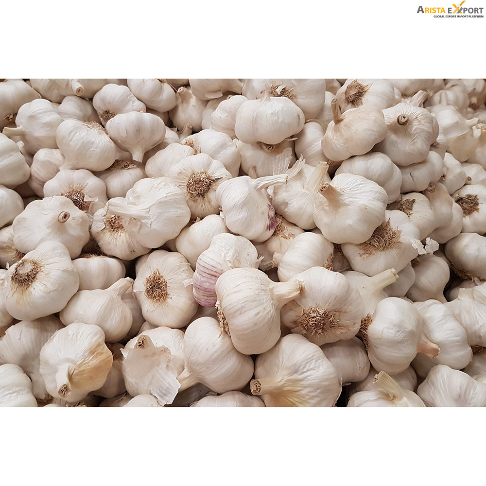 Export Quality Garlic Supplier Bangladesh