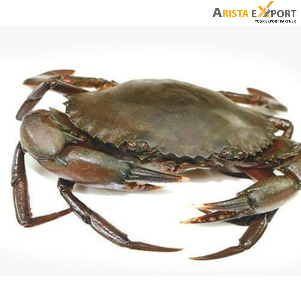 High quality Crab export  Bangladesh