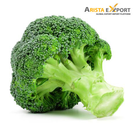 Dried Broccoli Import from Bangladesh