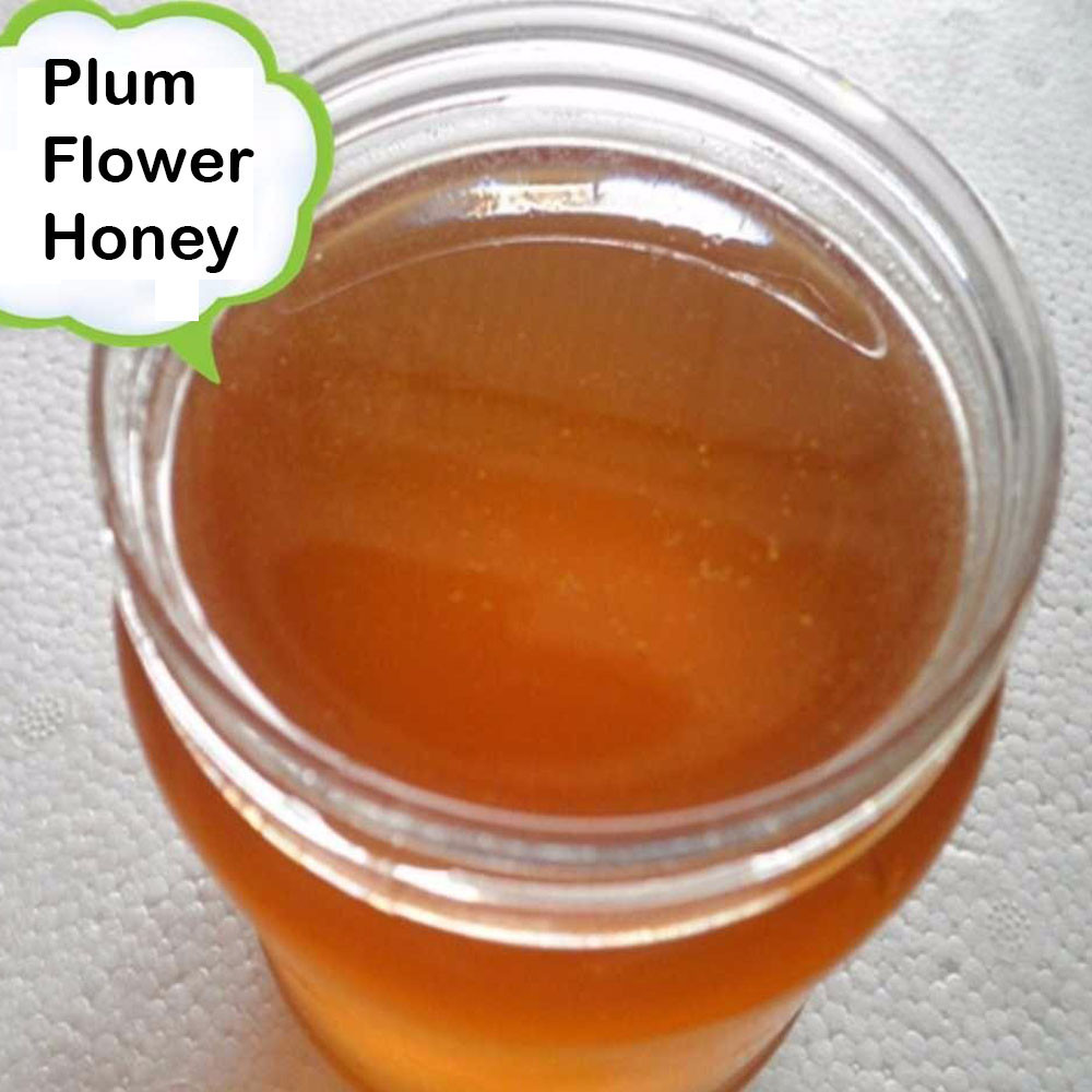 Pure & Natural Plum Flower Honey Manufacturer
