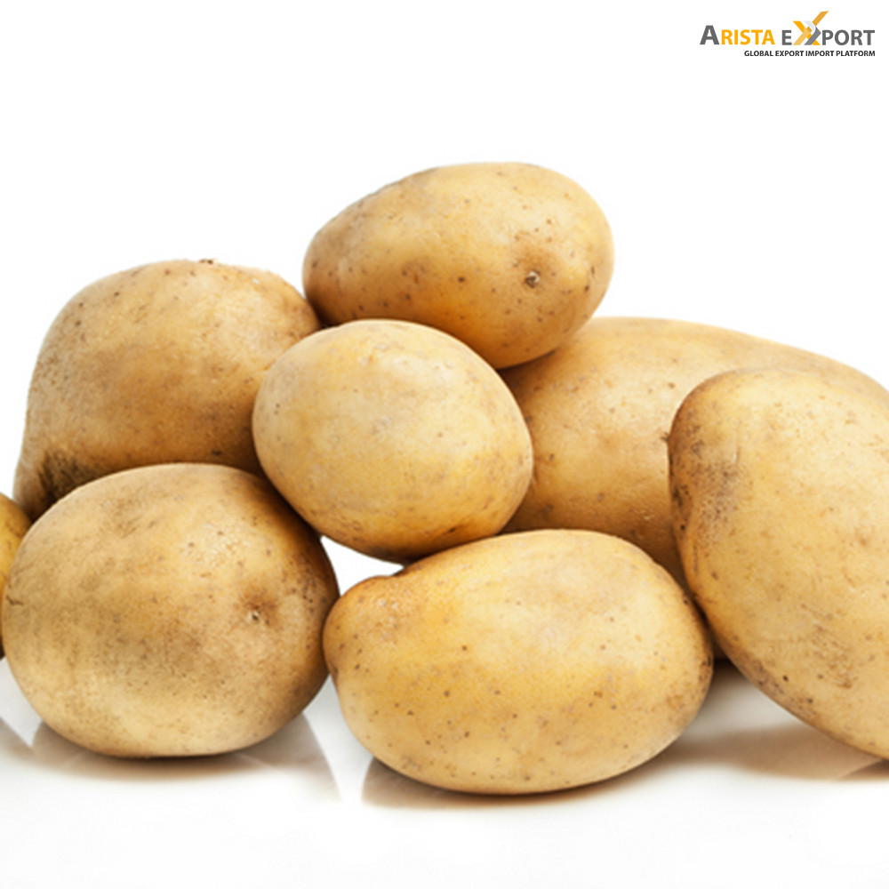 Top Grade Fresh Egyptian Potato Spunta