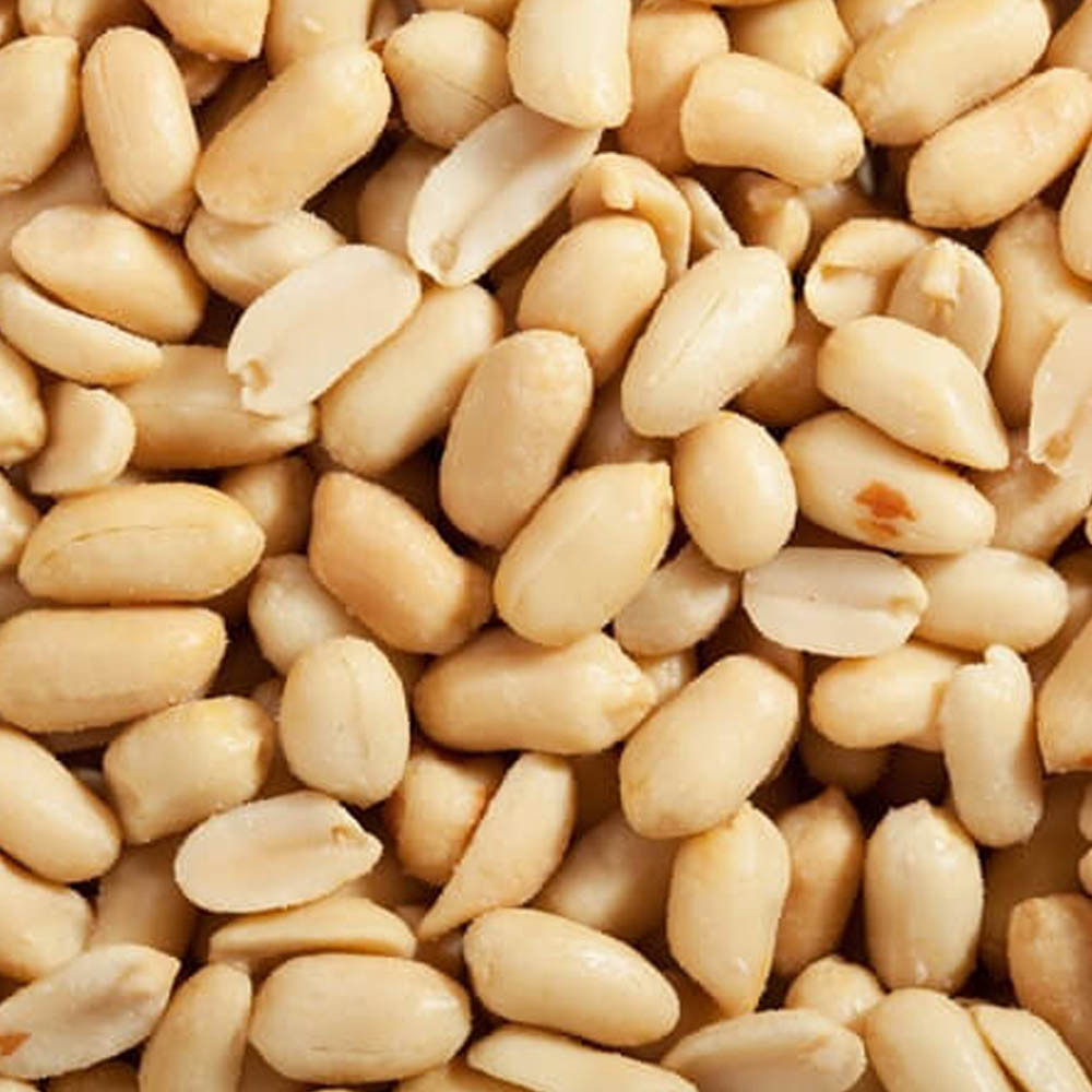 Hot Sale Uzbekistani Blenched Peanut Supplier