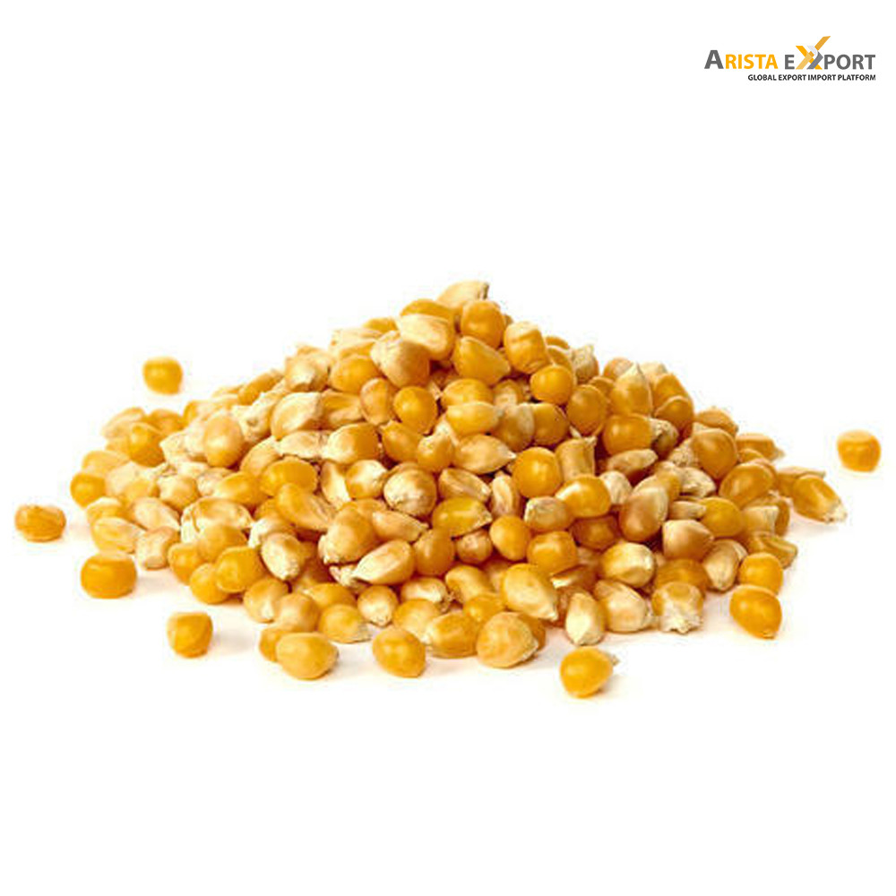 High Quality Natural Yellow Corn Supplier
