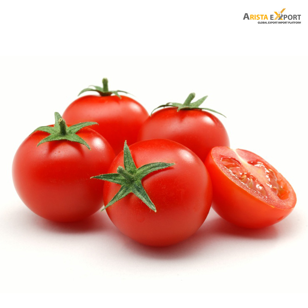 Hot Sale Tomato Exporter from Bangladesh
