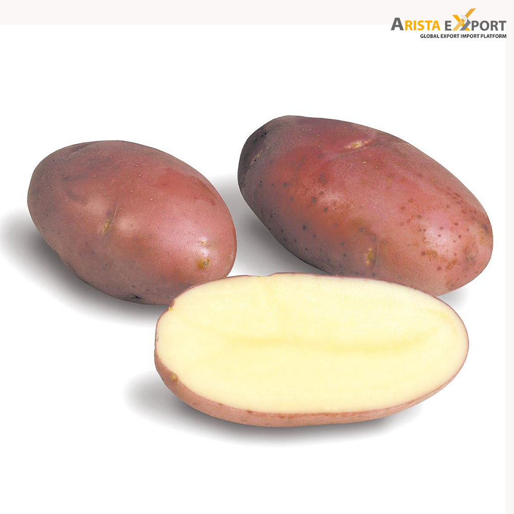 Export Oriented High Quality Fresh Asterix Potato