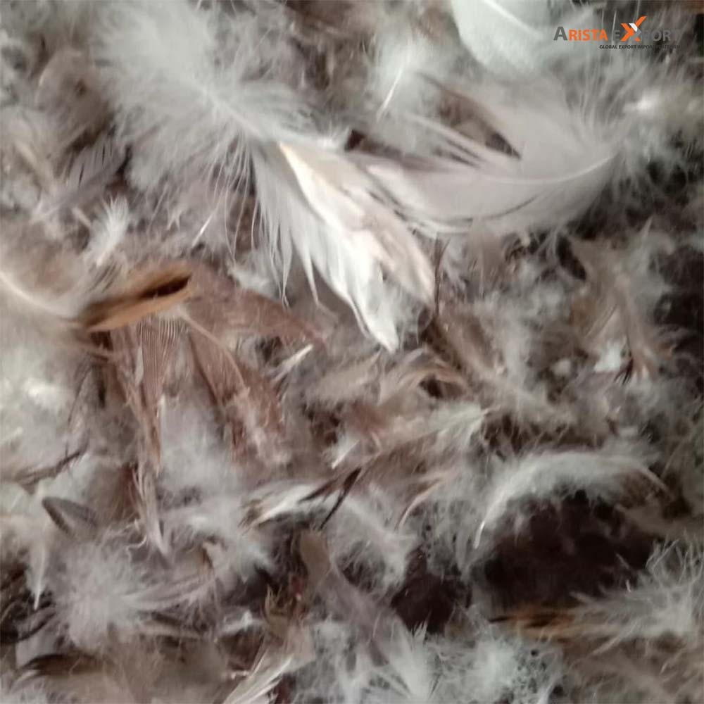  100% Natrual Soft Feel Washed  Duck Feather