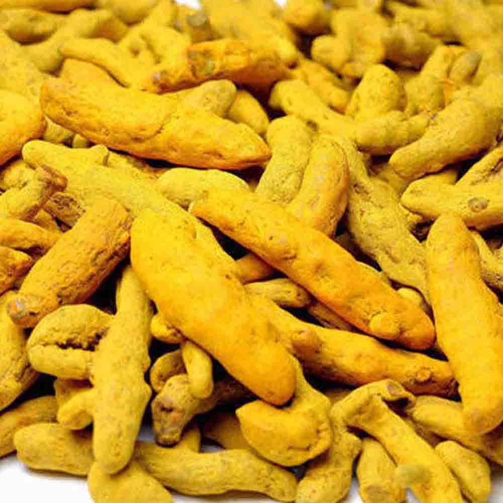 Export Quality Fresh Dried Turmeric Exporter