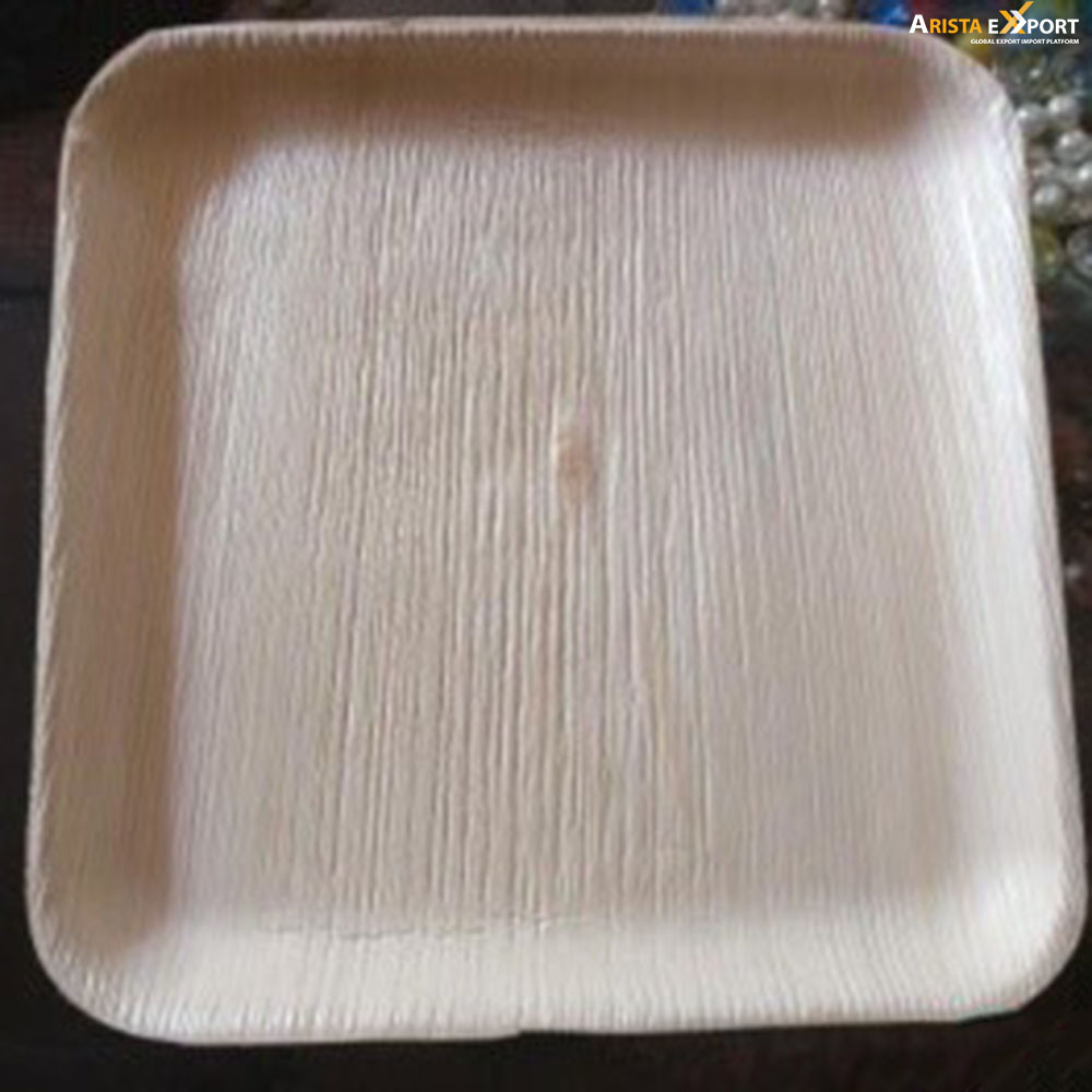 10 Inch Square With Rib Eco-Friendly Disposable Areca Leaf Plate