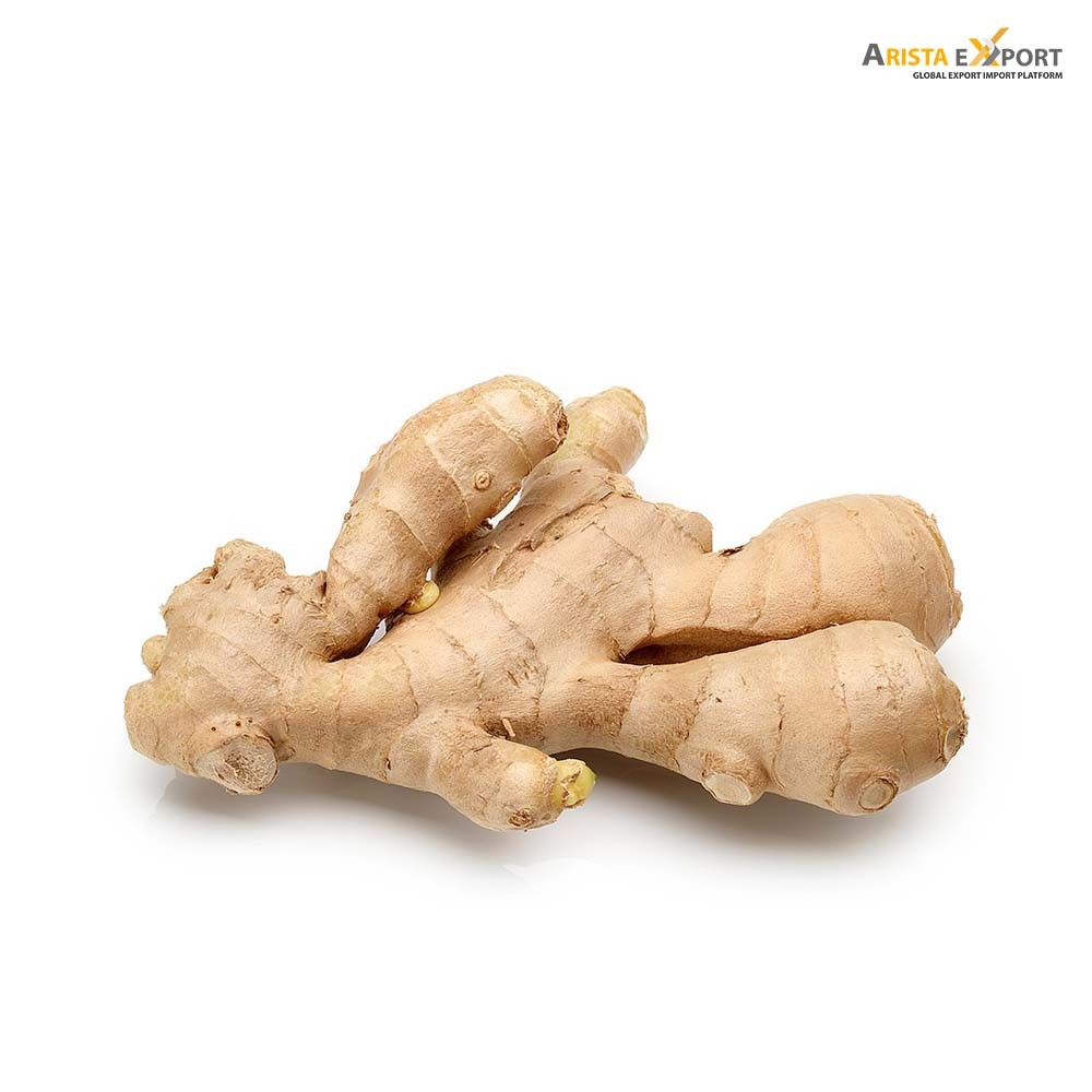 Wholesale Organic Fresh Ginger Indian Exporter