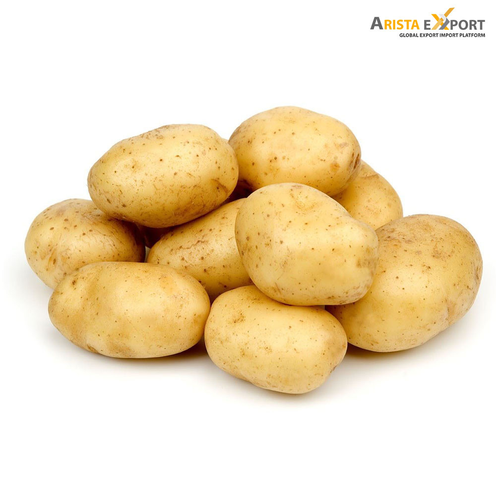 Export Quality Potato Supplier Bangladesh