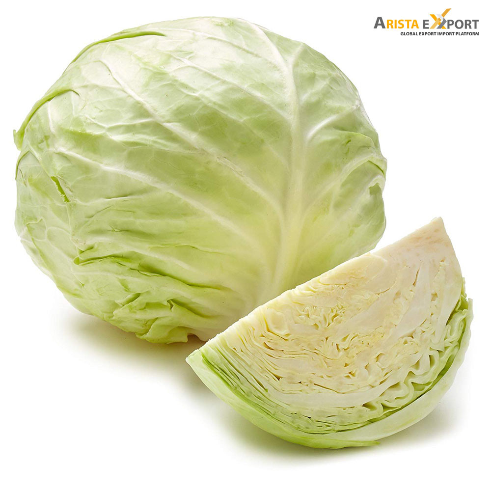 Best Price Fresh Cabbages Supplier