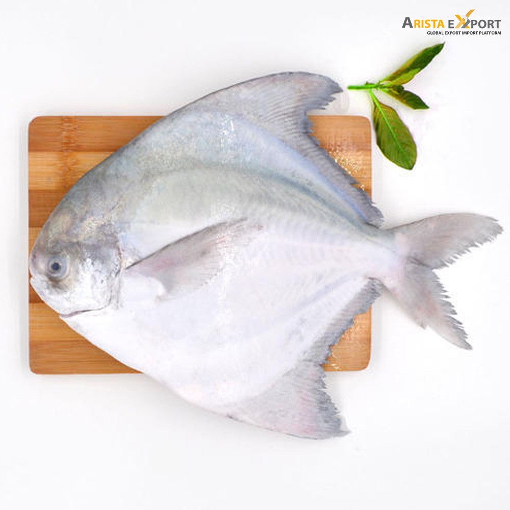 Indian Seafood/Fresh White Pomret Fish