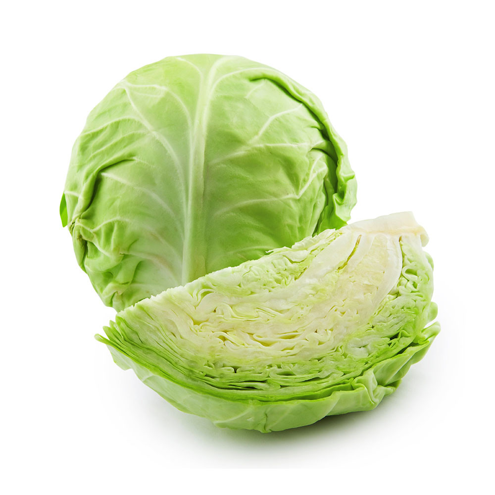 Best Quality Fresh Cabbage Supplier