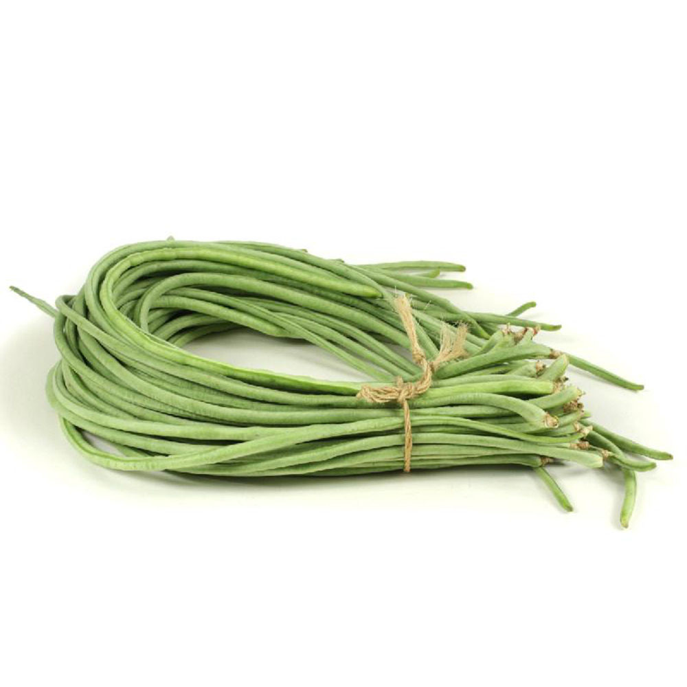 Wholesale Premium Quality Green Yardlong Bean
