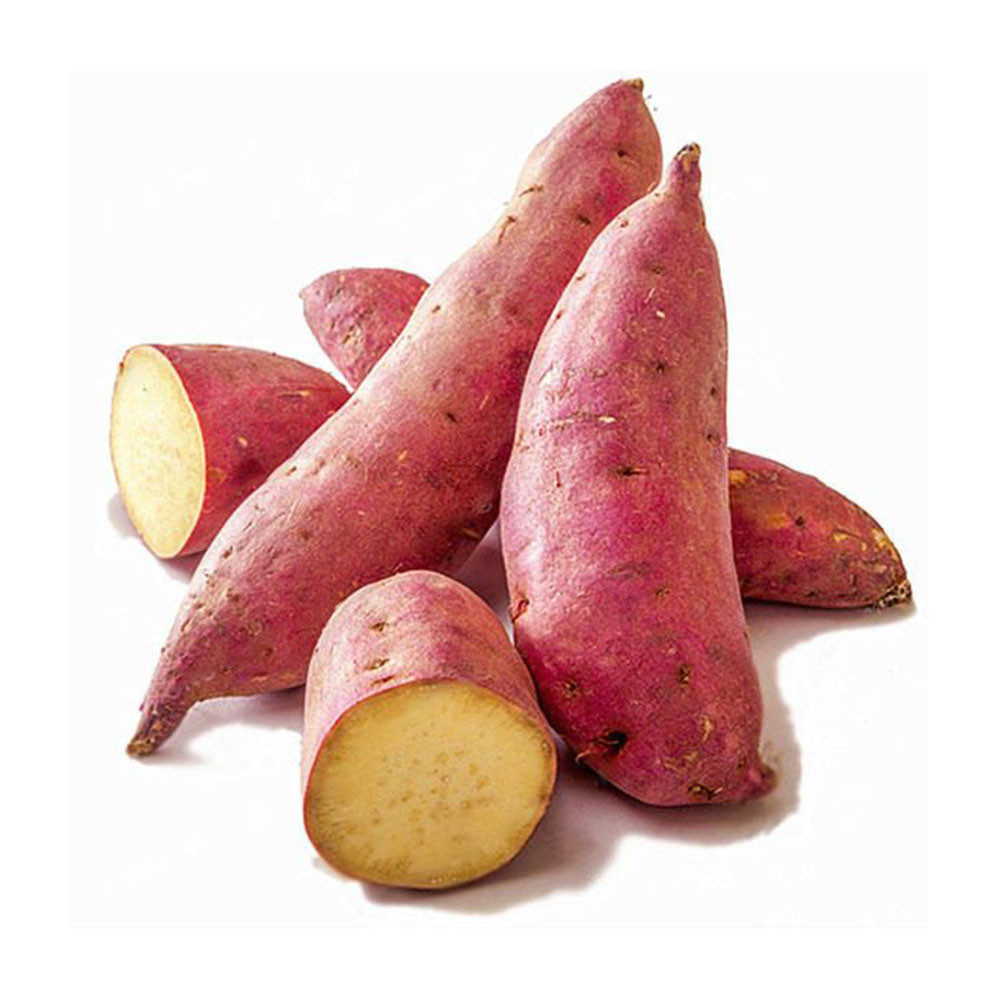 Healthy Organic Delicious Sweet Potato Wholesaler Bangladesh