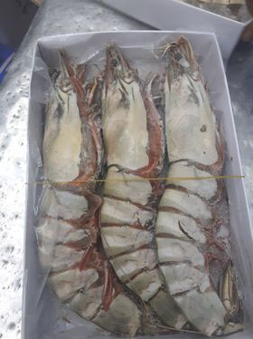 Fresh 100% Original High Quality Big Shrimps Exporter