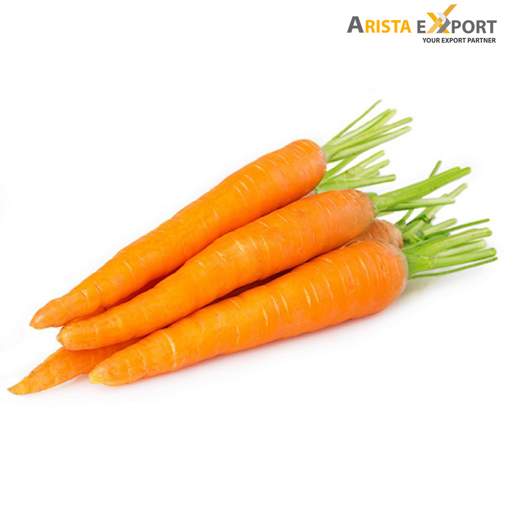 Export quality Carrot supplier from Bangladesh 