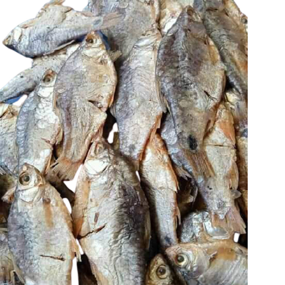 Good Quality Tasty Healthy Non Salted Big Semi Fermented Dry Fish