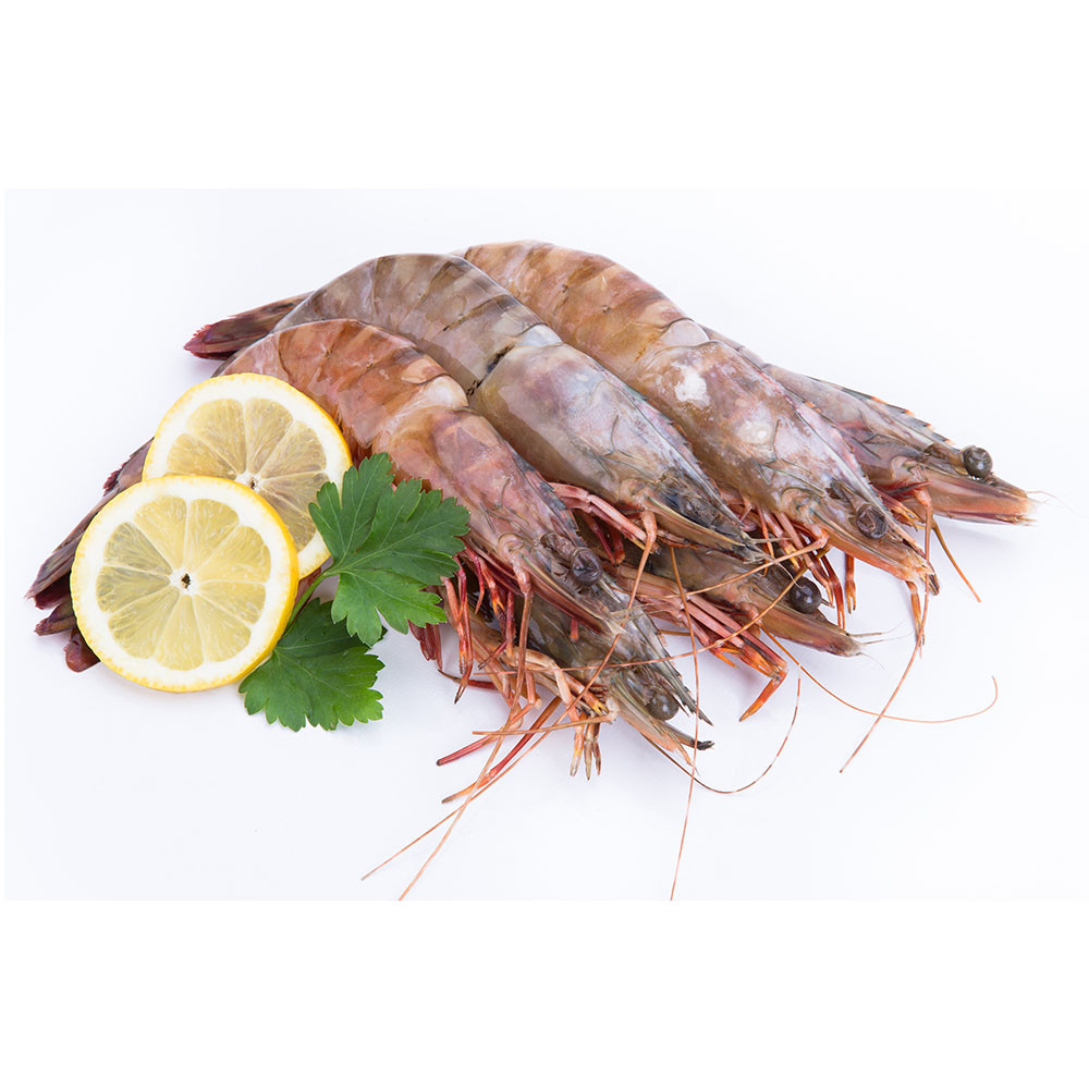 Best Selling Top Quality Organic Sea Water Shrimp 