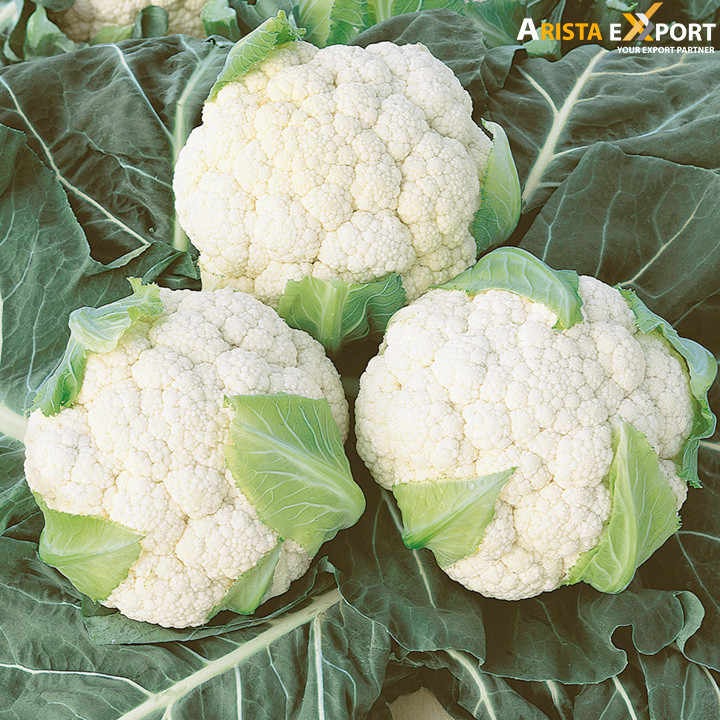 Export quality Cauliflower supplier from BD