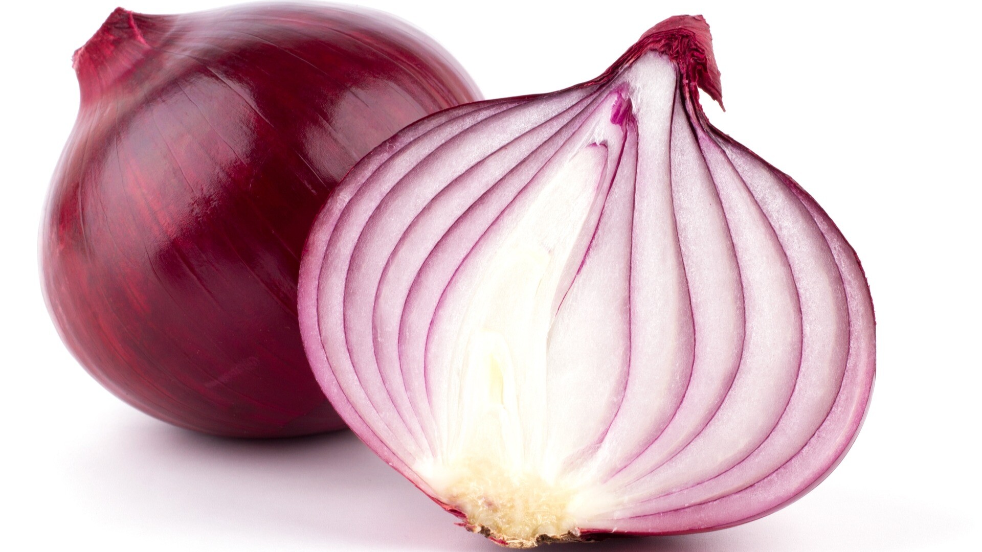 New Top Quality Direct Supply Good Quality Onion Exporter India
