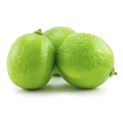 Hot Sell Rich Quality Natural Fresh Lemon Exporter