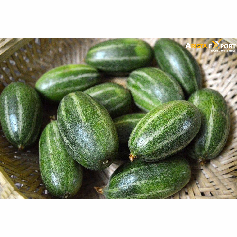 Pointed gourd supplier from BD