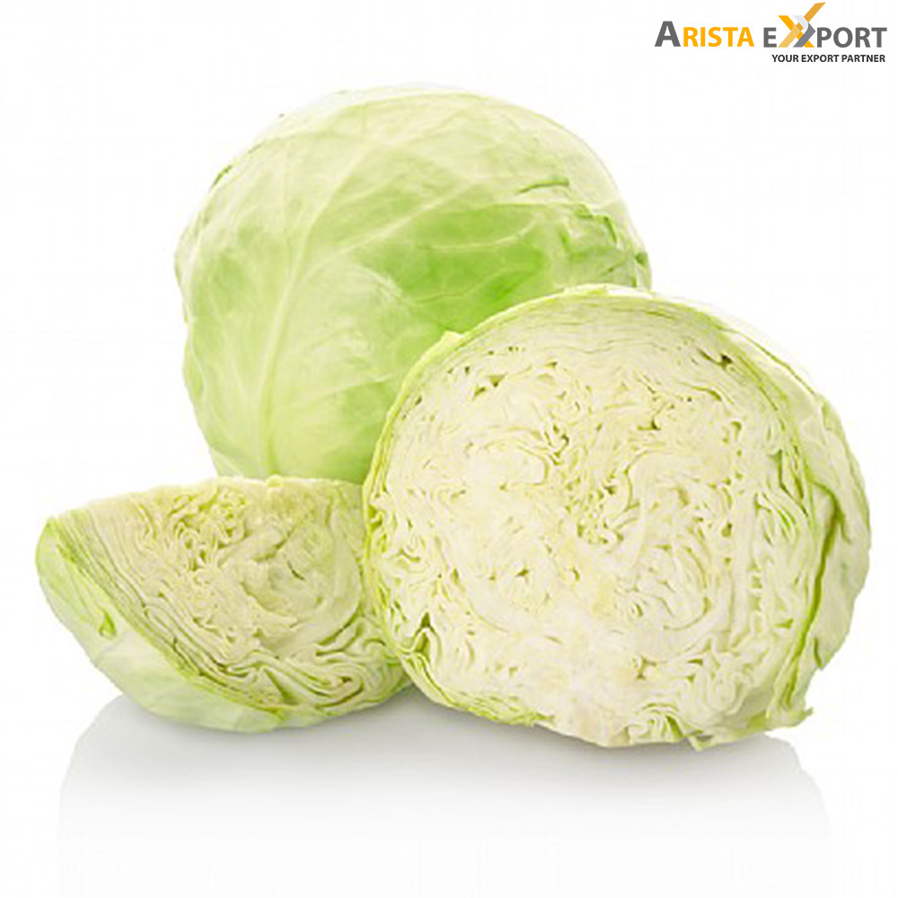 Fresh High Quality Cabbage supplier from BD